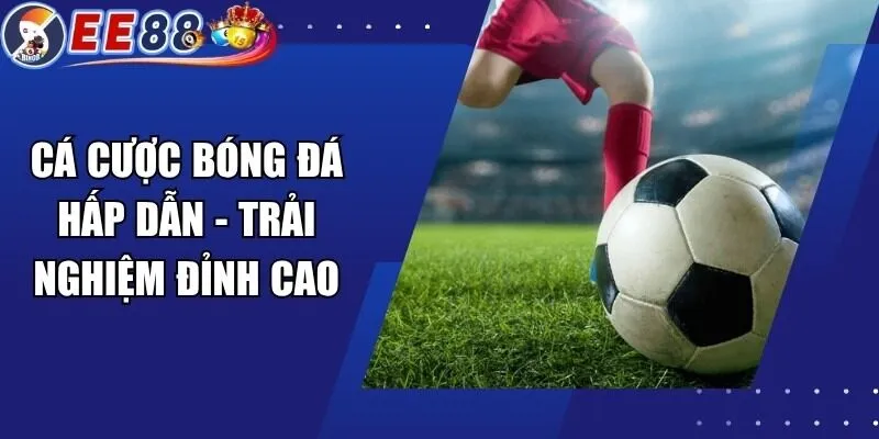 Cá Cược Bóng Đá Hấp Dẫn – Trải Nghiệm Đỉnh Cao