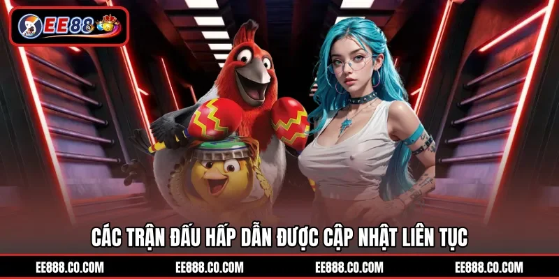 Các trận đấu hấp dẫn được cập nhật liên tục
