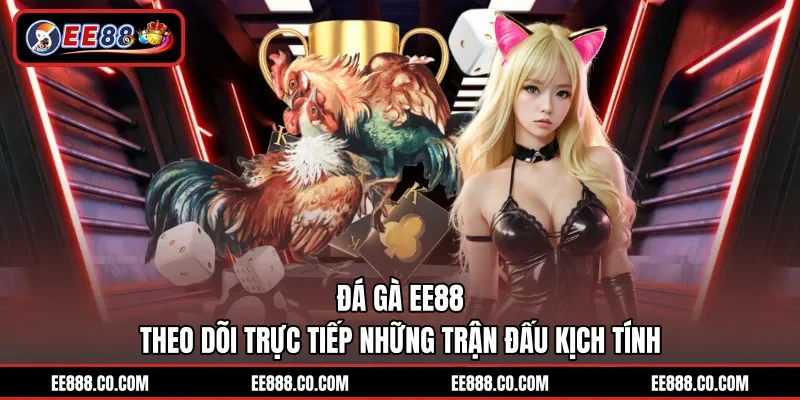 Đá Gà EE88 - Theo Dõi Trực Tiếp Những Trận Đấu Kịch Tính