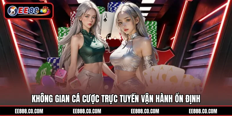 Không gian cá cược trực tuyến vận hành ổn định